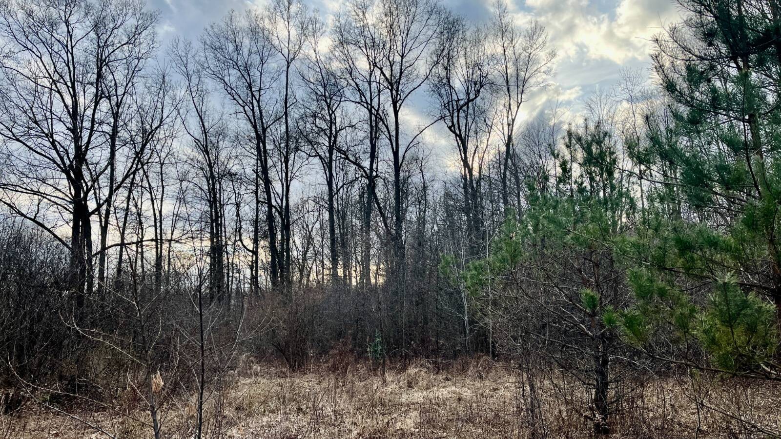 Land for Sale in Trumbull County, OH (25 of 54)