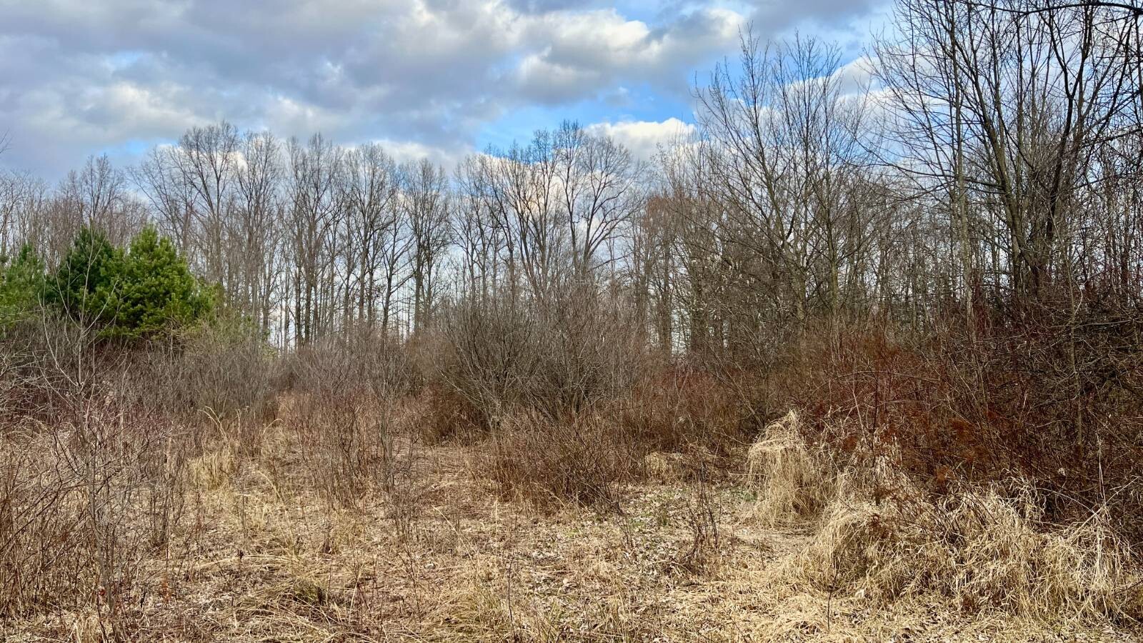 Land for Sale in Trumbull County, OH (26 of 54)