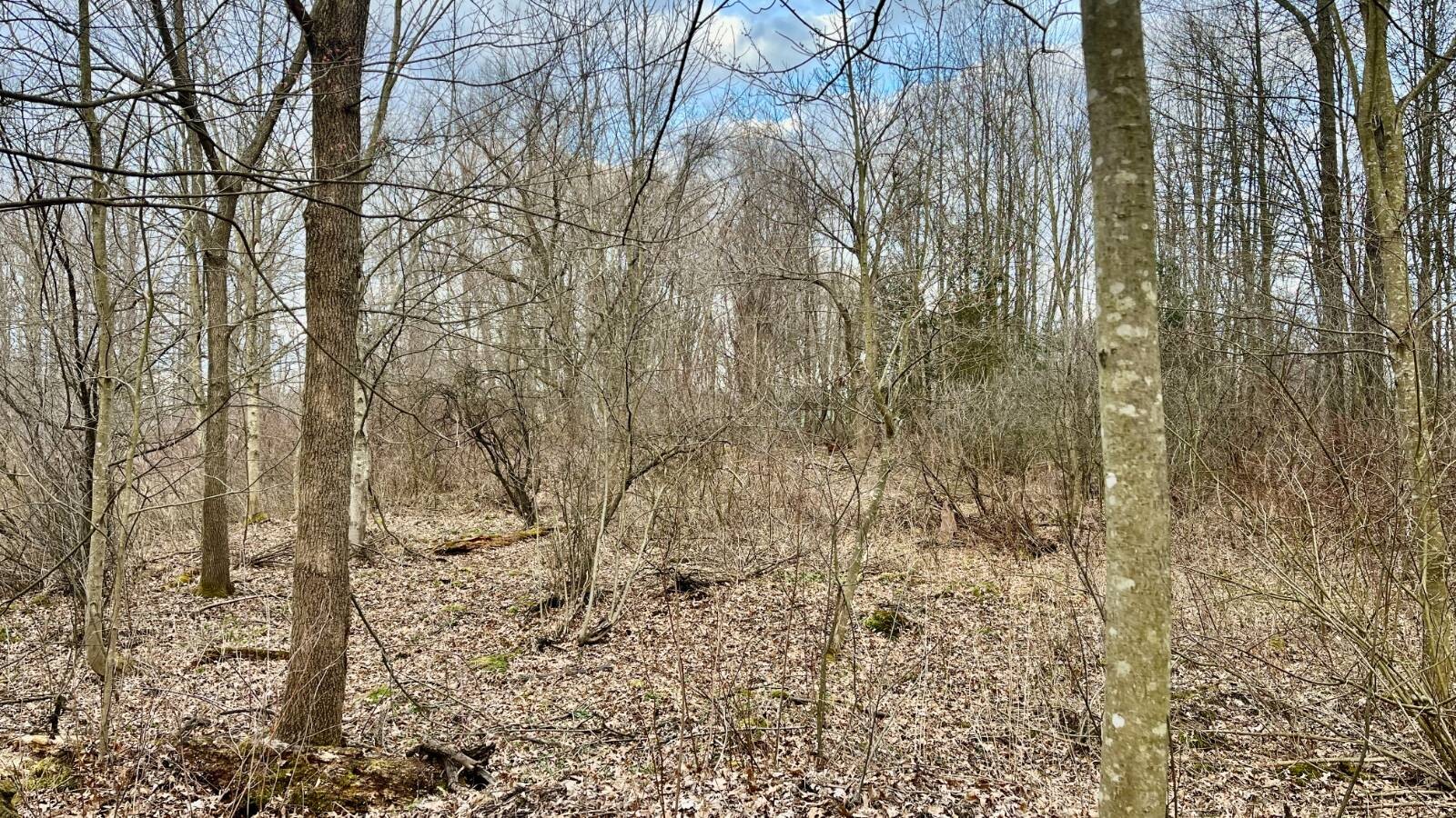 Land for Sale in Trumbull County, OH (27 of 54)