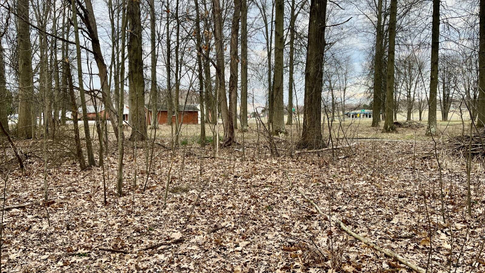 Land for Sale in Trumbull County, OH (31 of 54)