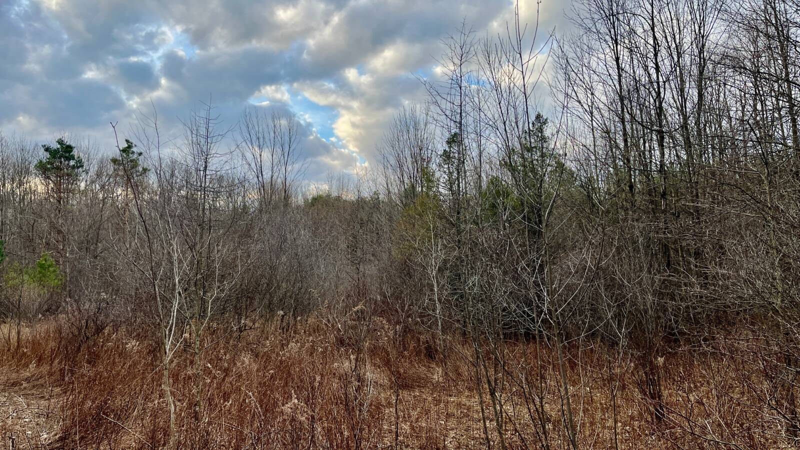 Land for Sale in Trumbull County, OH (32 of 54)