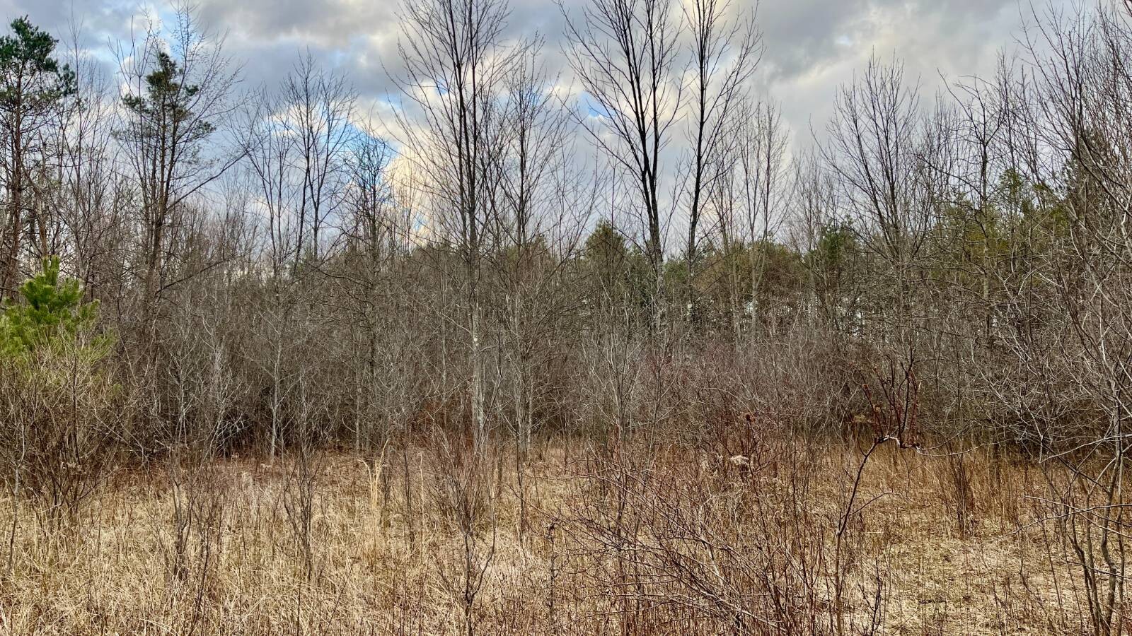 Land for Sale in Trumbull County, OH (33 of 54)
