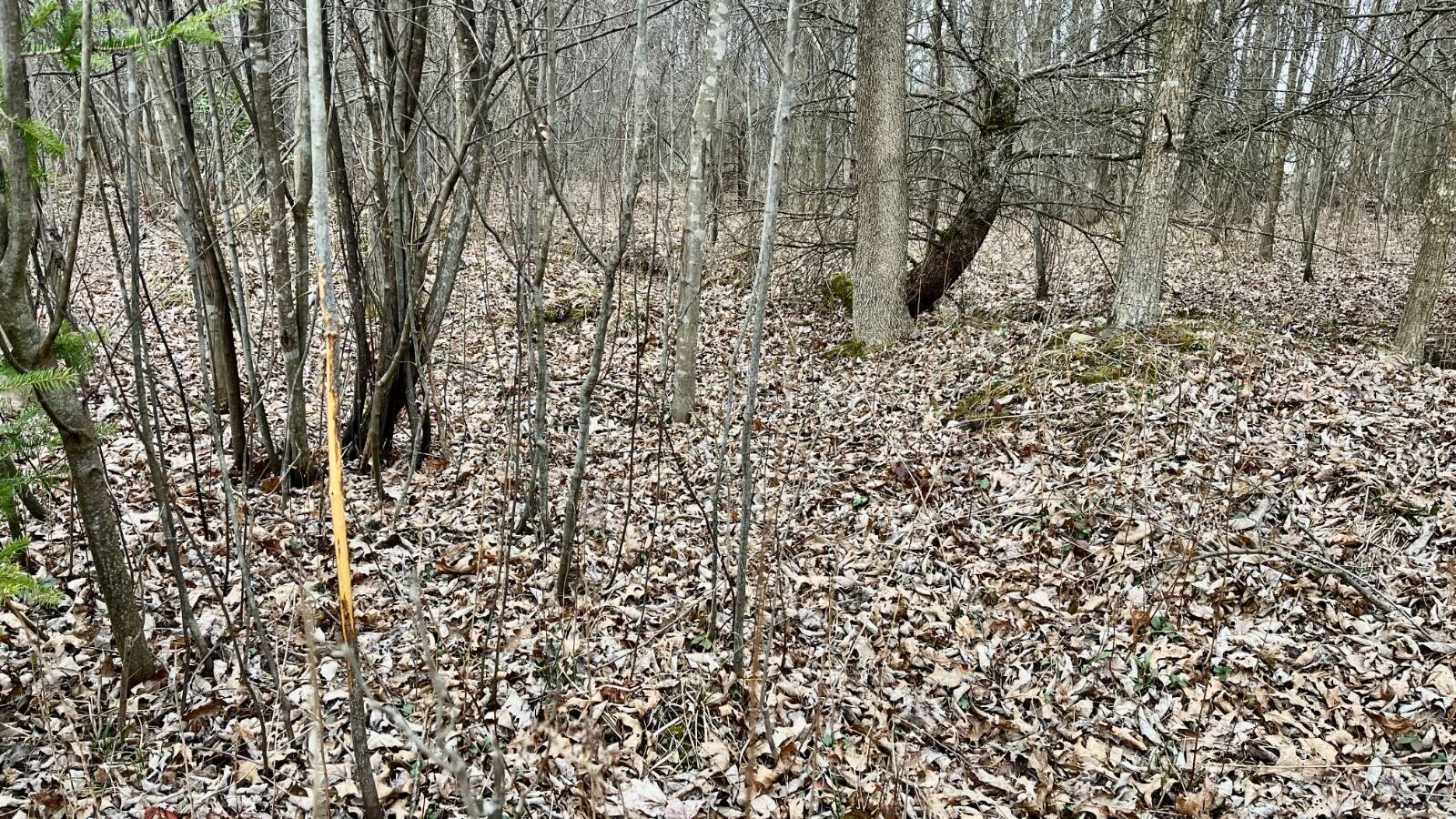 Land for Sale in Trumbull County, OH (34 of 54)