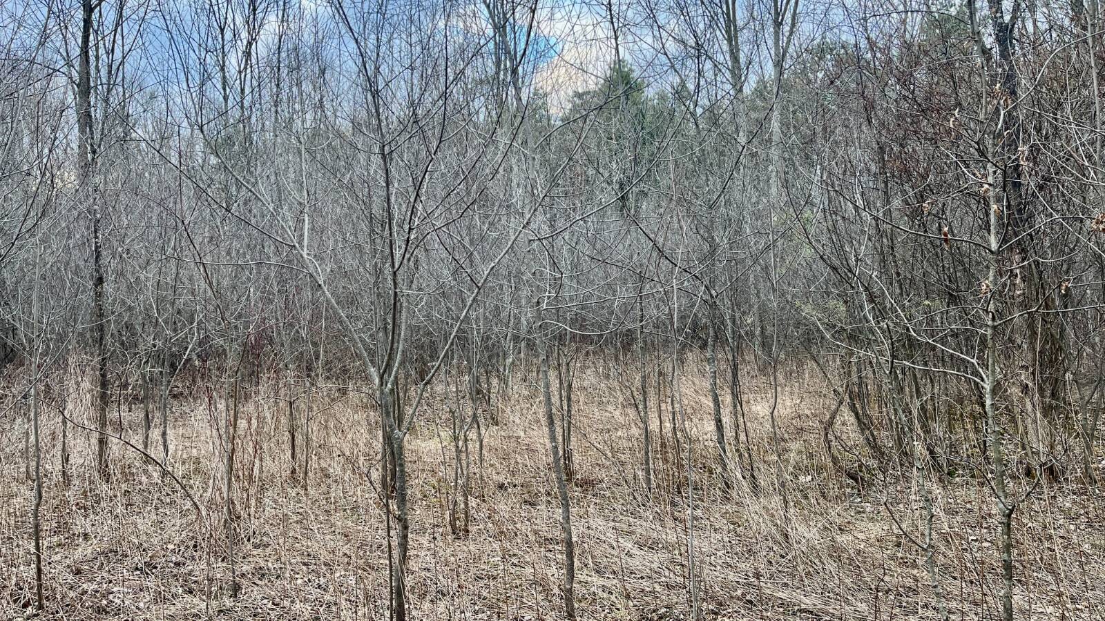 Land for Sale in Trumbull County, OH (35 of 54)