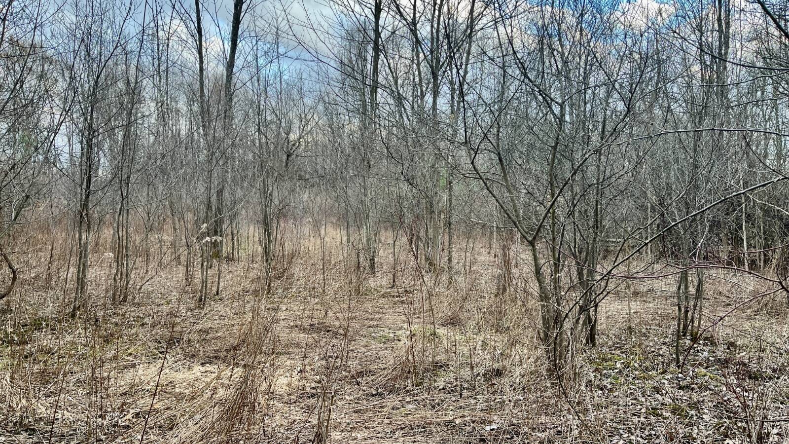 Land for Sale in Trumbull County, OH (36 of 54)