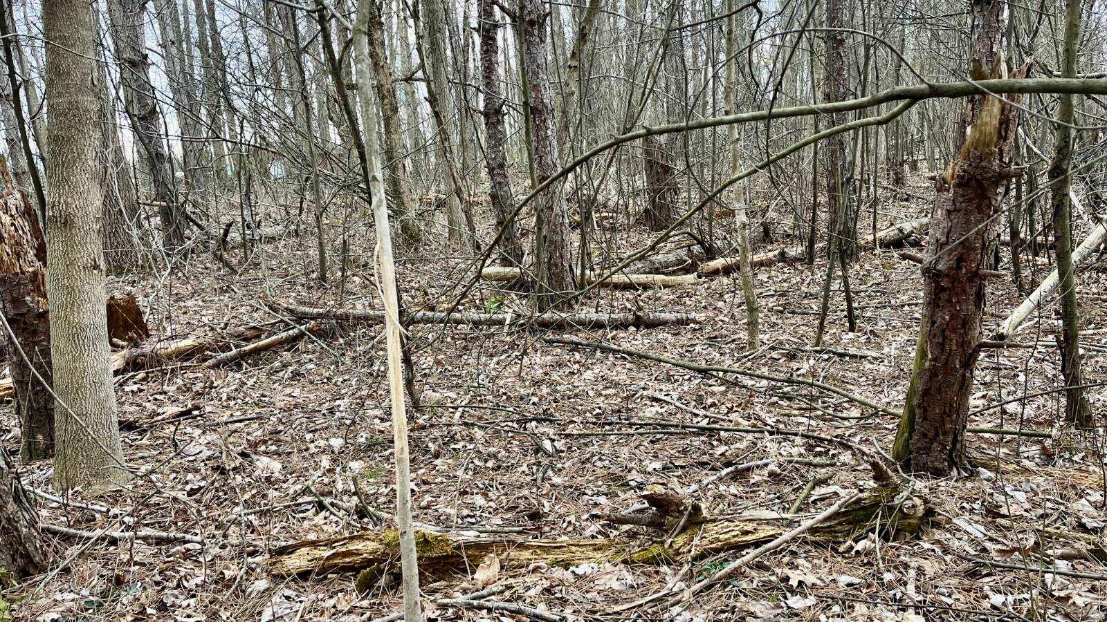Land for Sale in Trumbull County, OH (37 of 54)