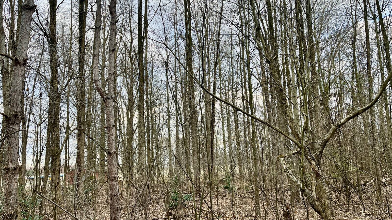 Land for Sale in Trumbull County, OH (38 of 54)