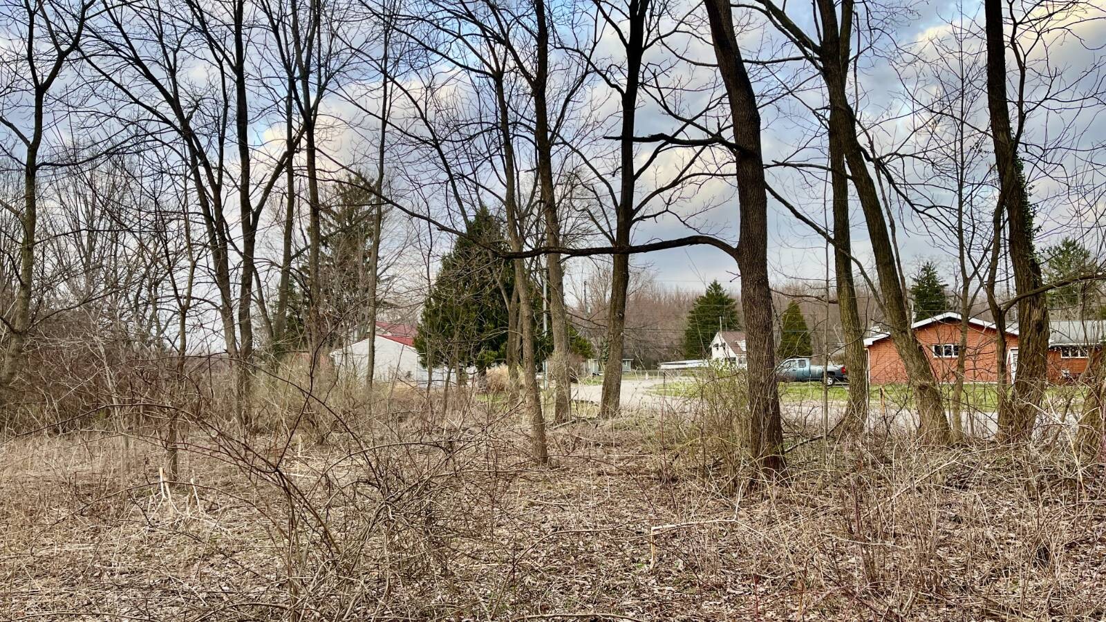 Land for Sale in Trumbull County, OH (42 of 54)