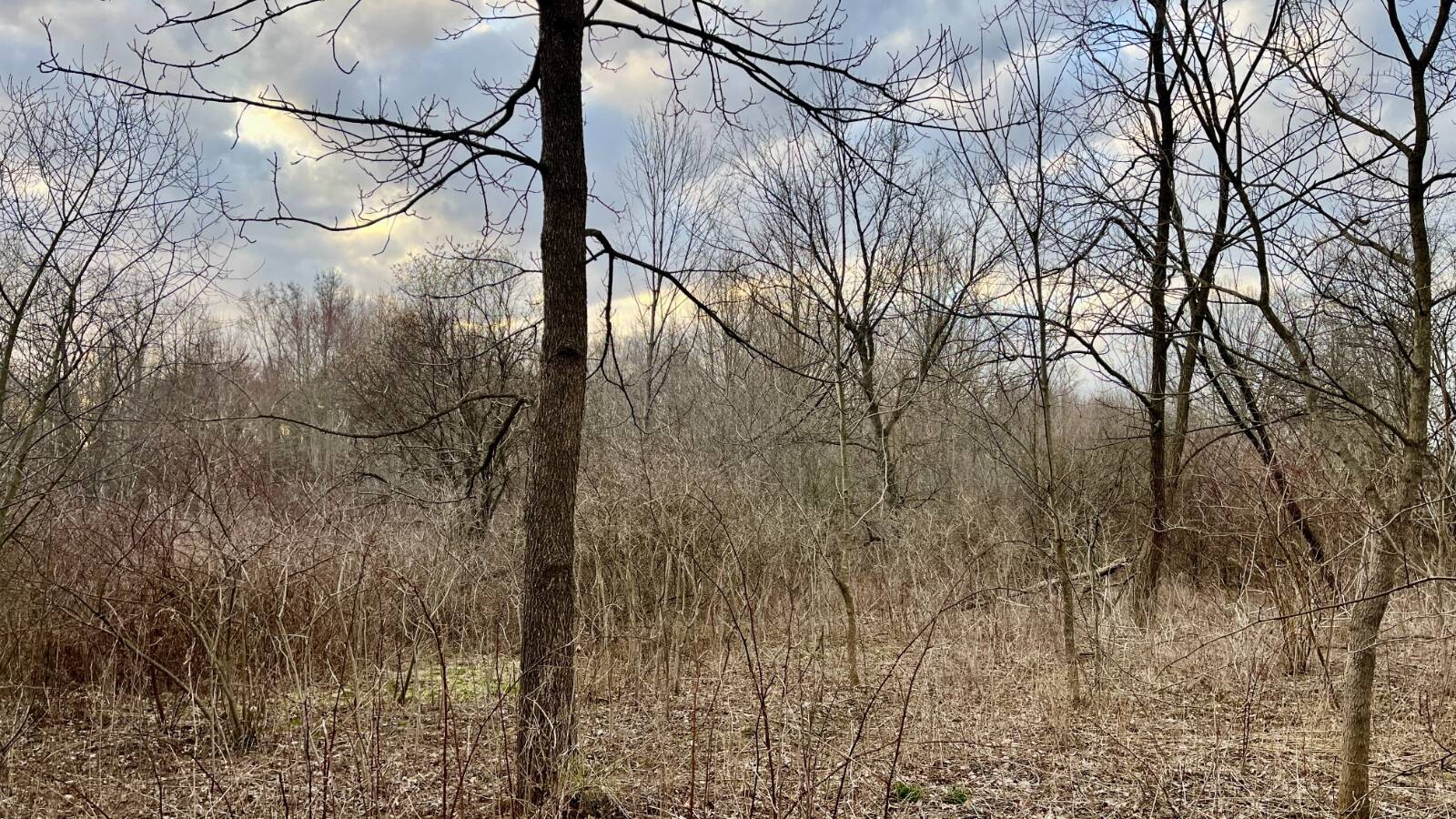 Land for Sale in Trumbull County, OH (43 of 54)