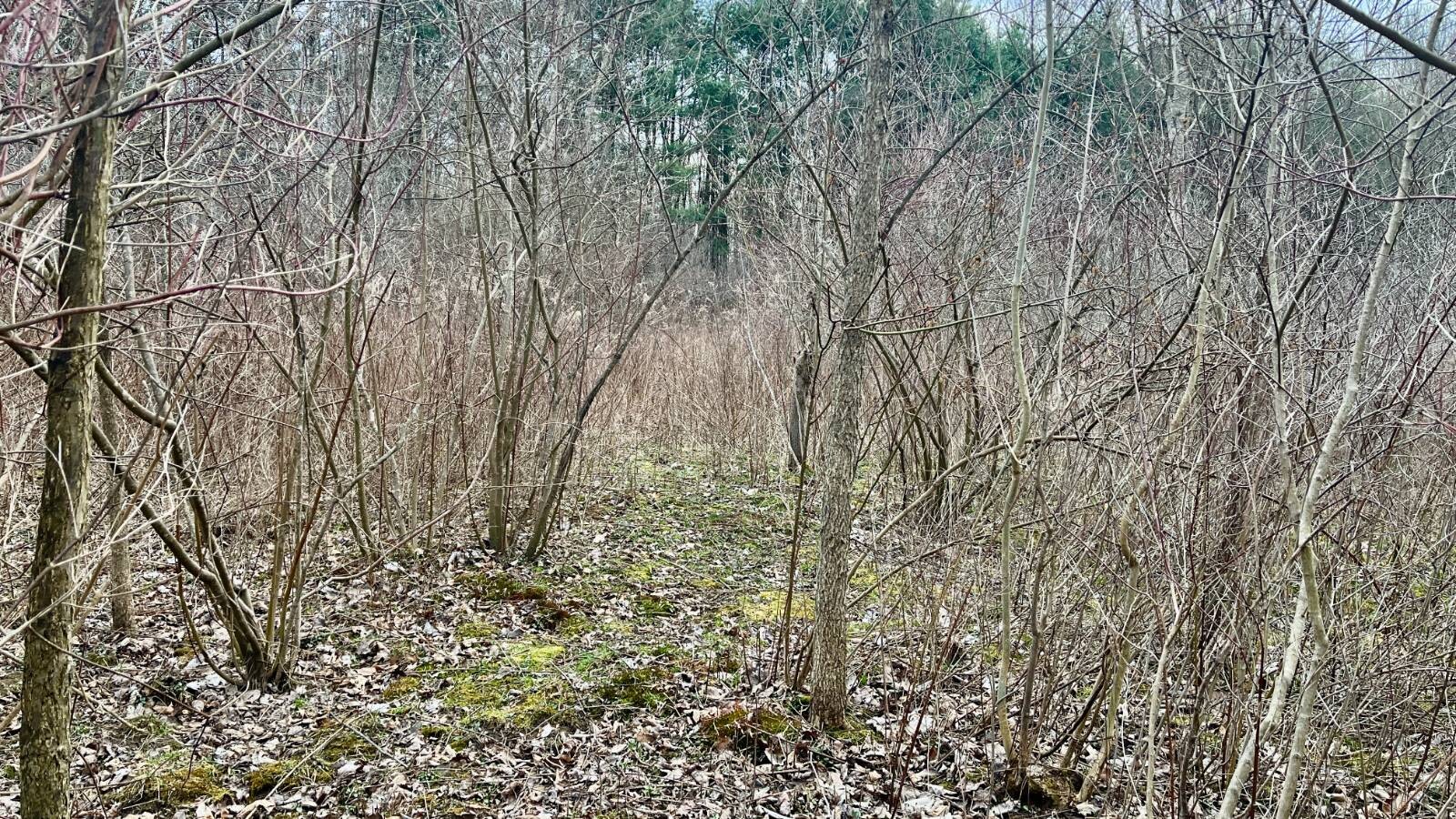 Land for Sale in Trumbull County, OH (44 of 54)