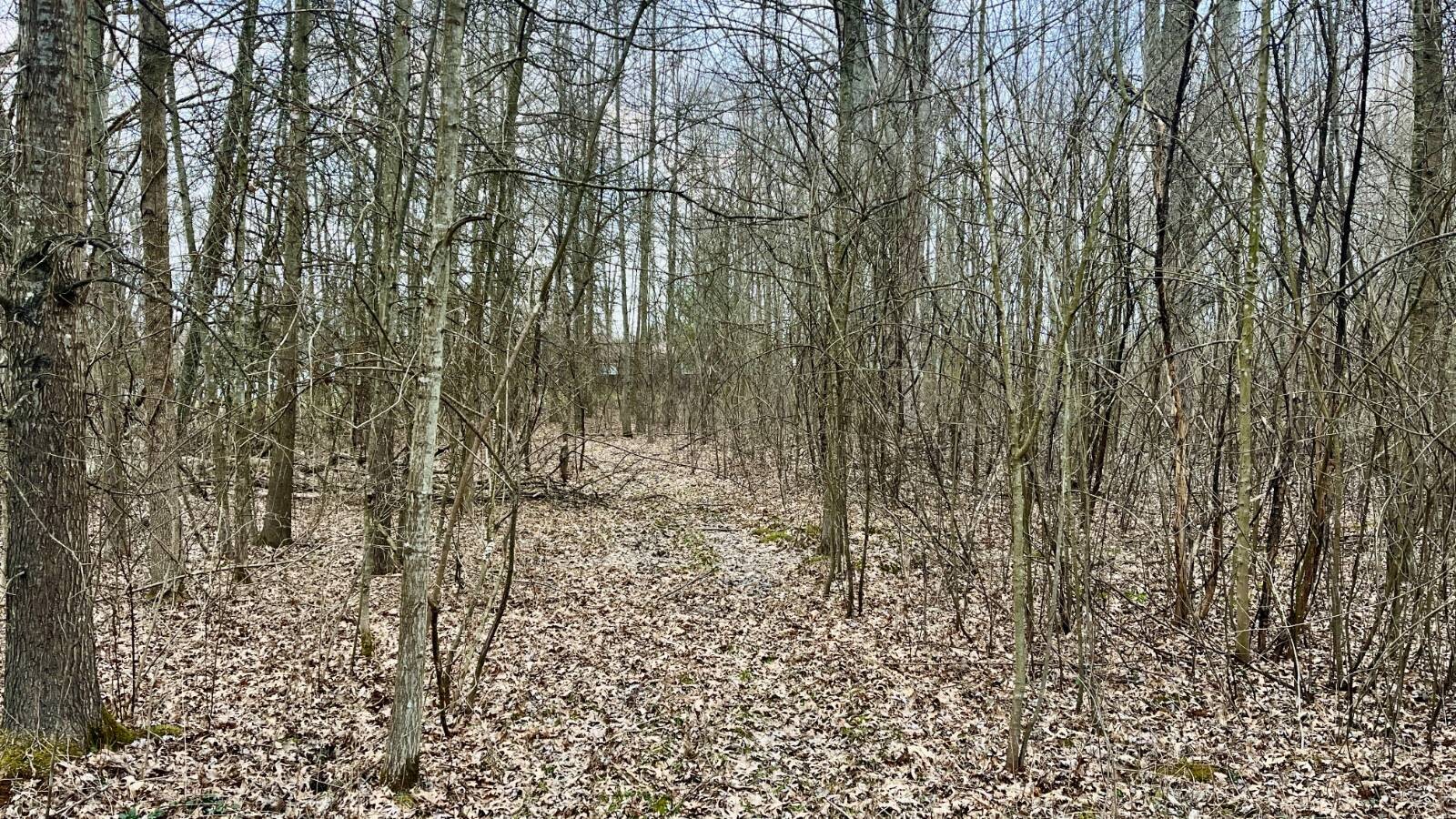 Land for Sale in Trumbull County, OH (46 of 54)