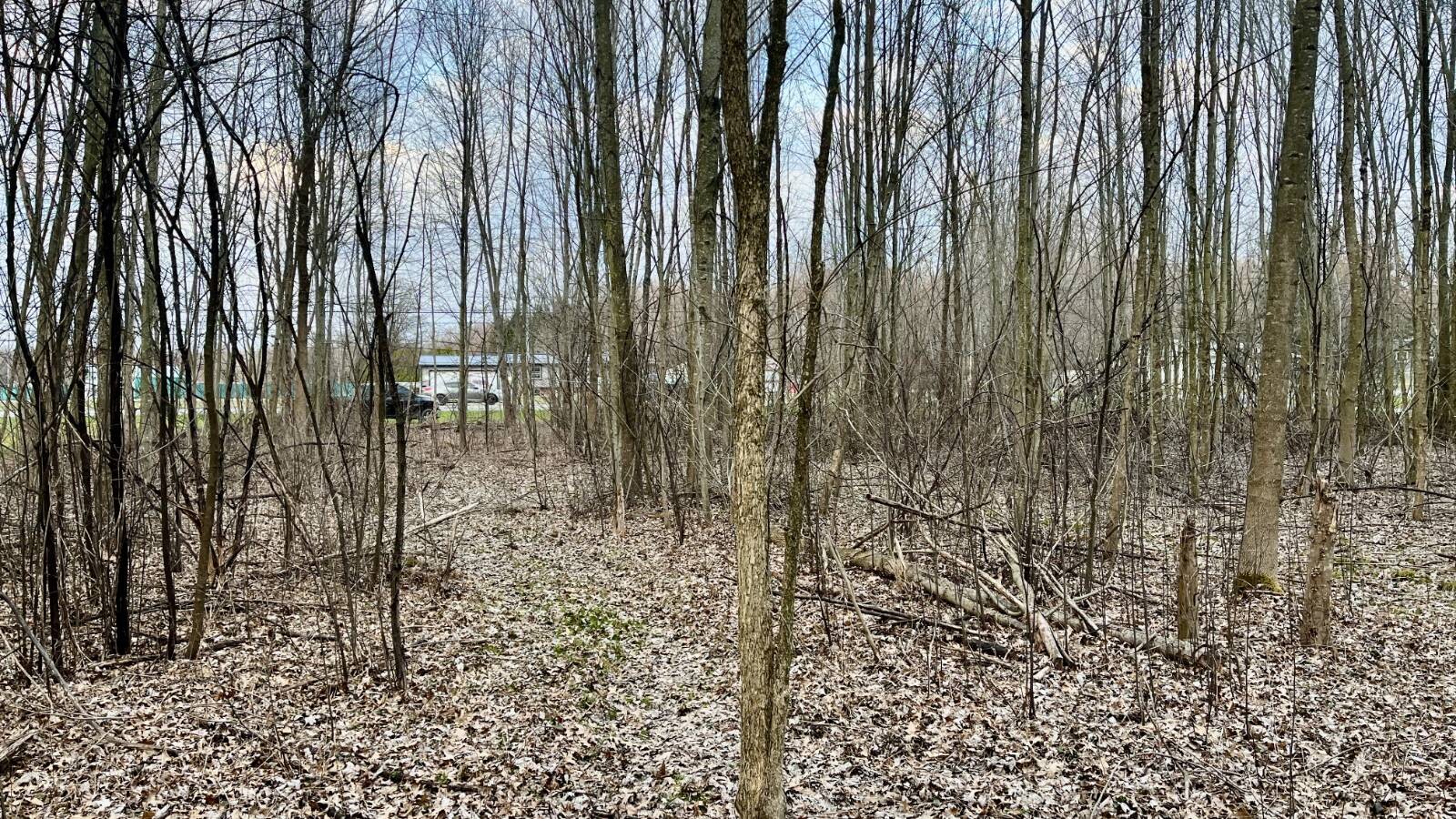 Land for Sale in Trumbull County, OH (47 of 54)