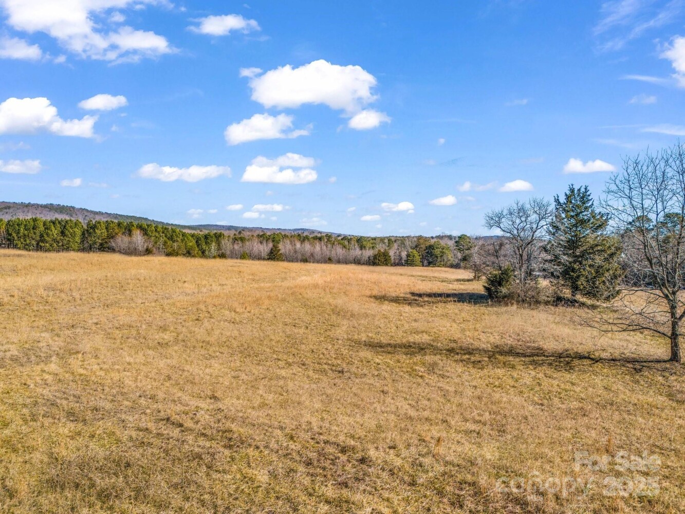 Land for Sale in Rutherford County, NC (9 of 48)