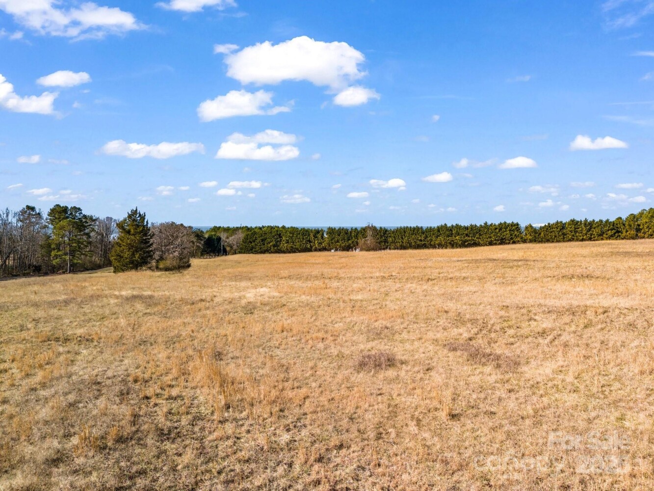 Land for Sale in Rutherford County, NC (11 of 48)