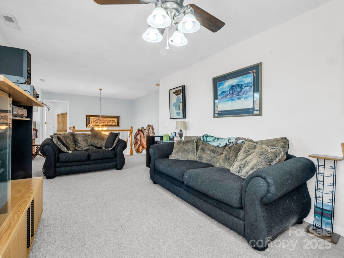 Land for Sale in Rutherford County, NC (36 of 48)