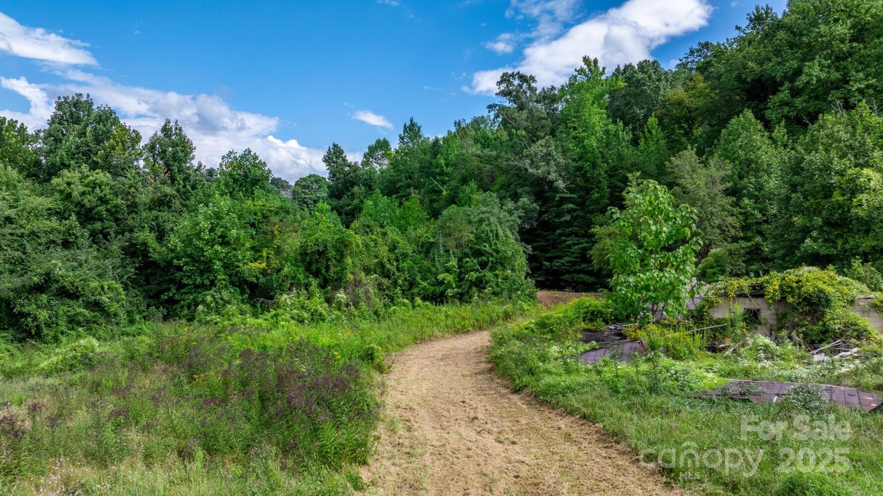 Land for Sale in McDowell County, NC (4 of 44)