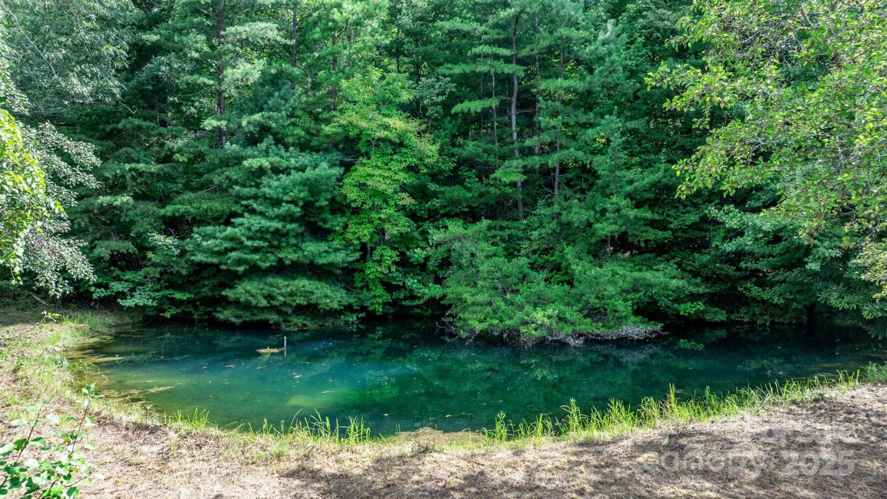 Land for Sale in McDowell County, NC (14 of 44)