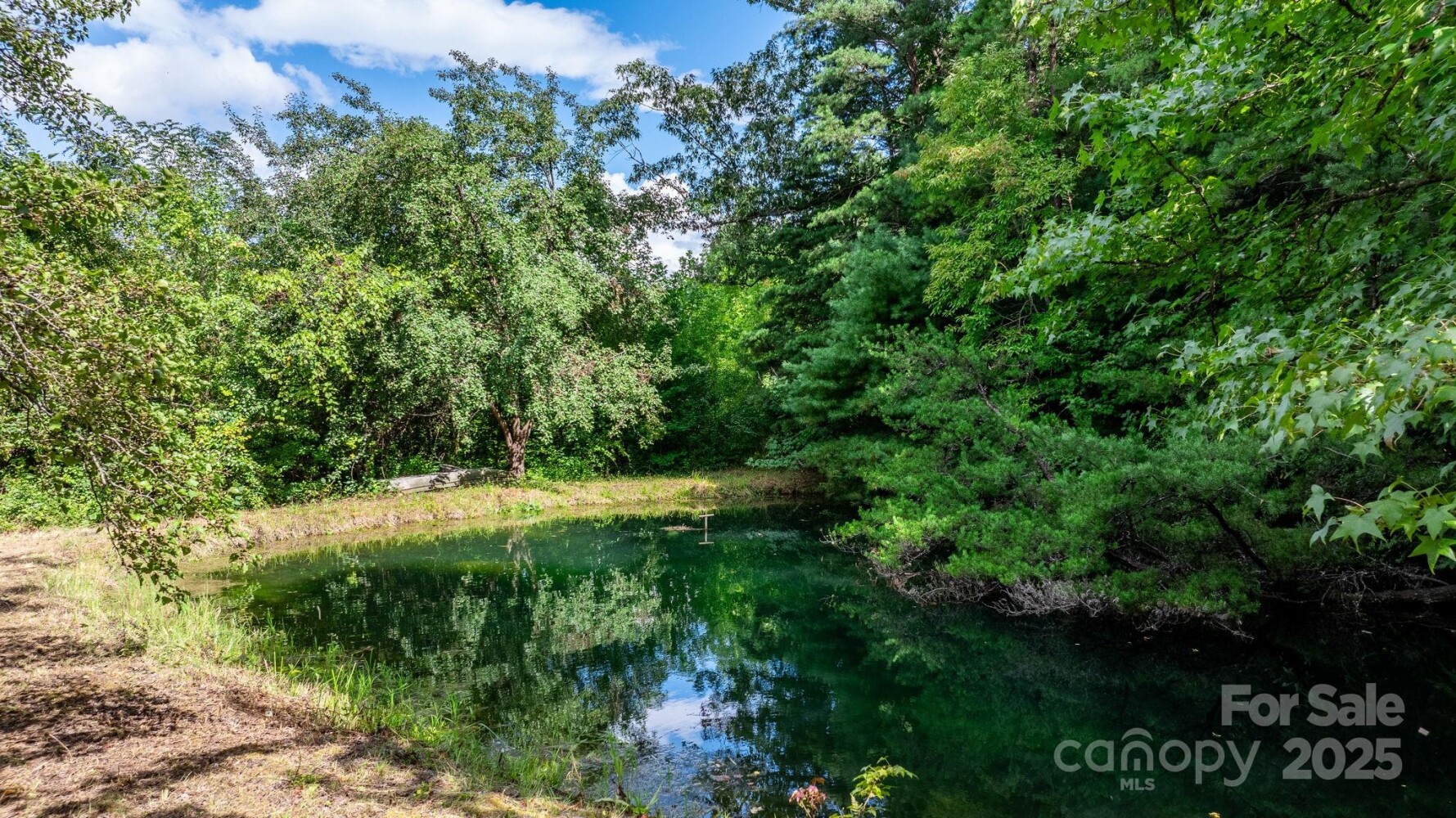Land for Sale in McDowell County, NC (15 of 44)