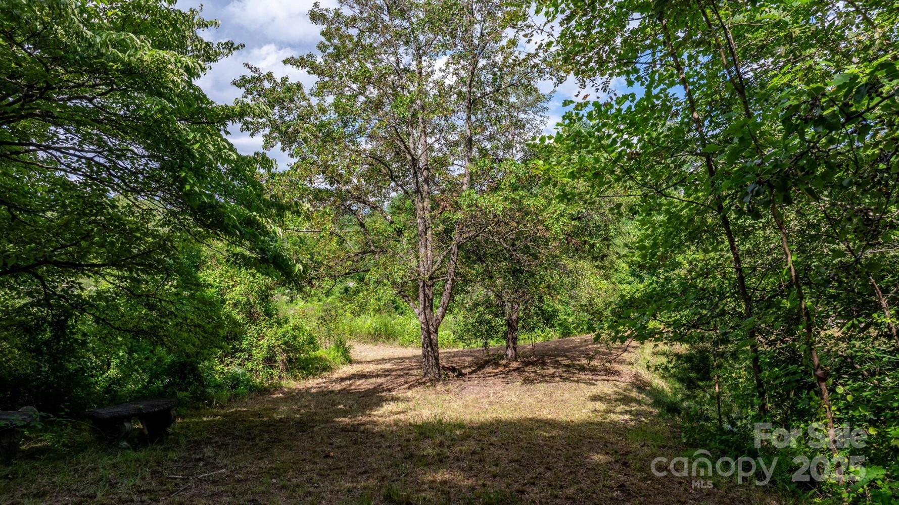 Land for Sale in McDowell County, NC (16 of 44)