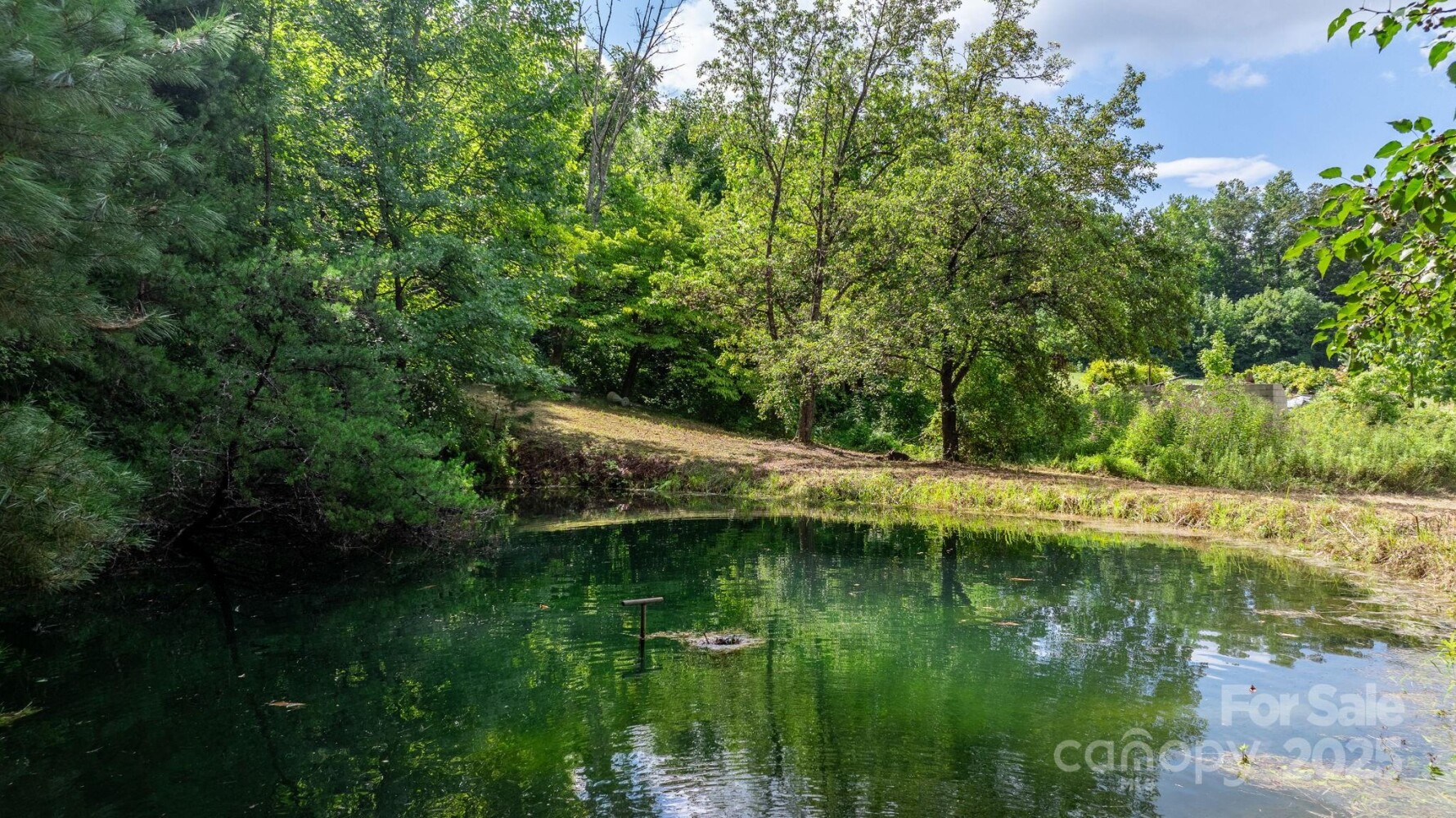 Land for Sale in McDowell County, NC (17 of 44)