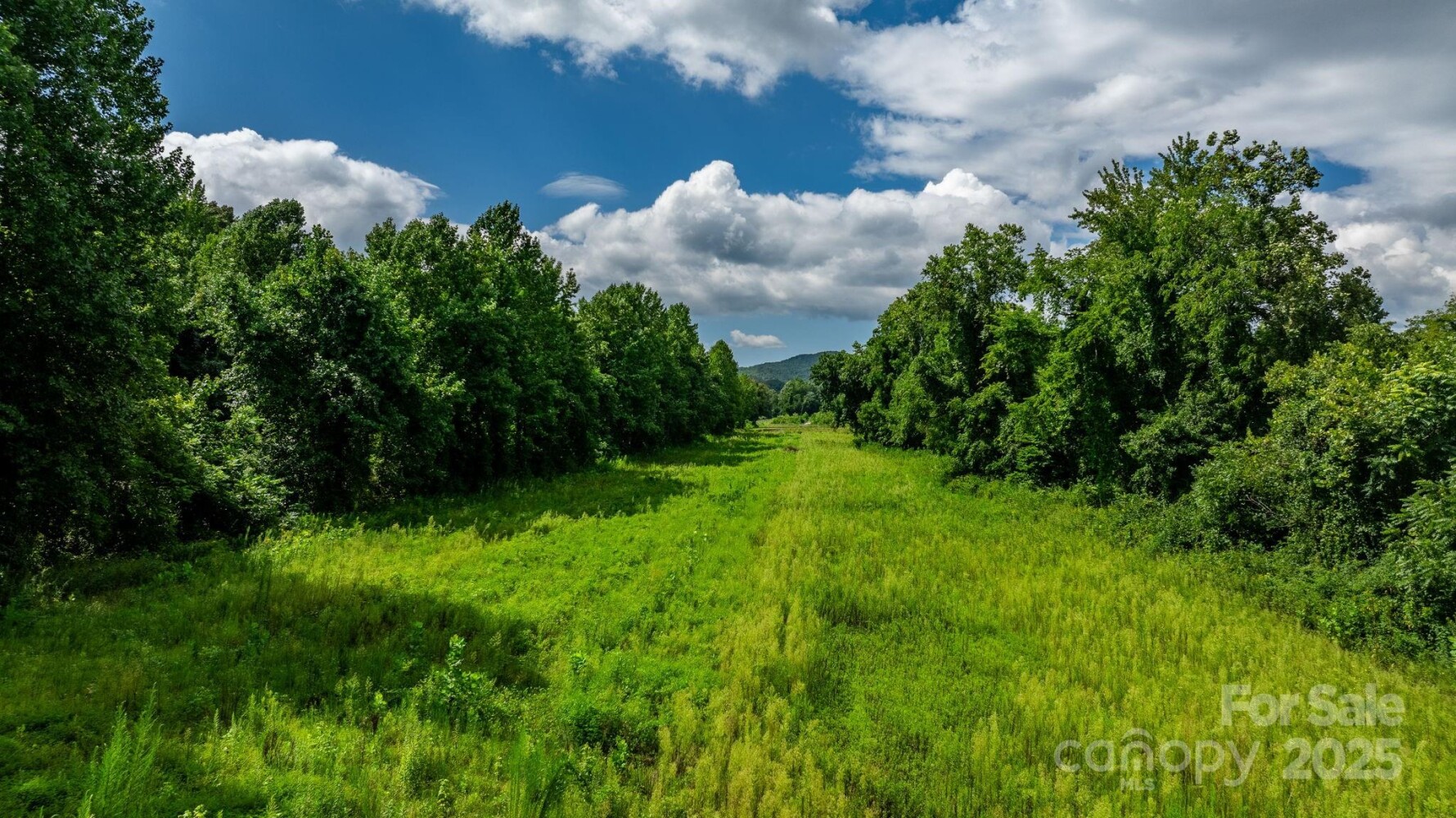 Land for Sale in McDowell County, NC (25 of 44)