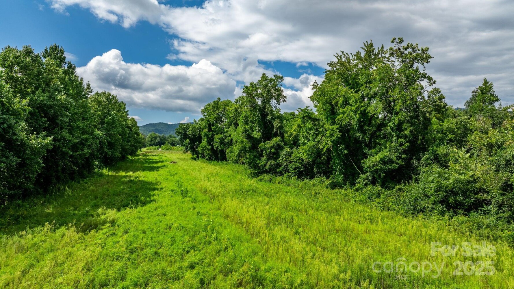 Land for Sale in McDowell County, NC (26 of 44)