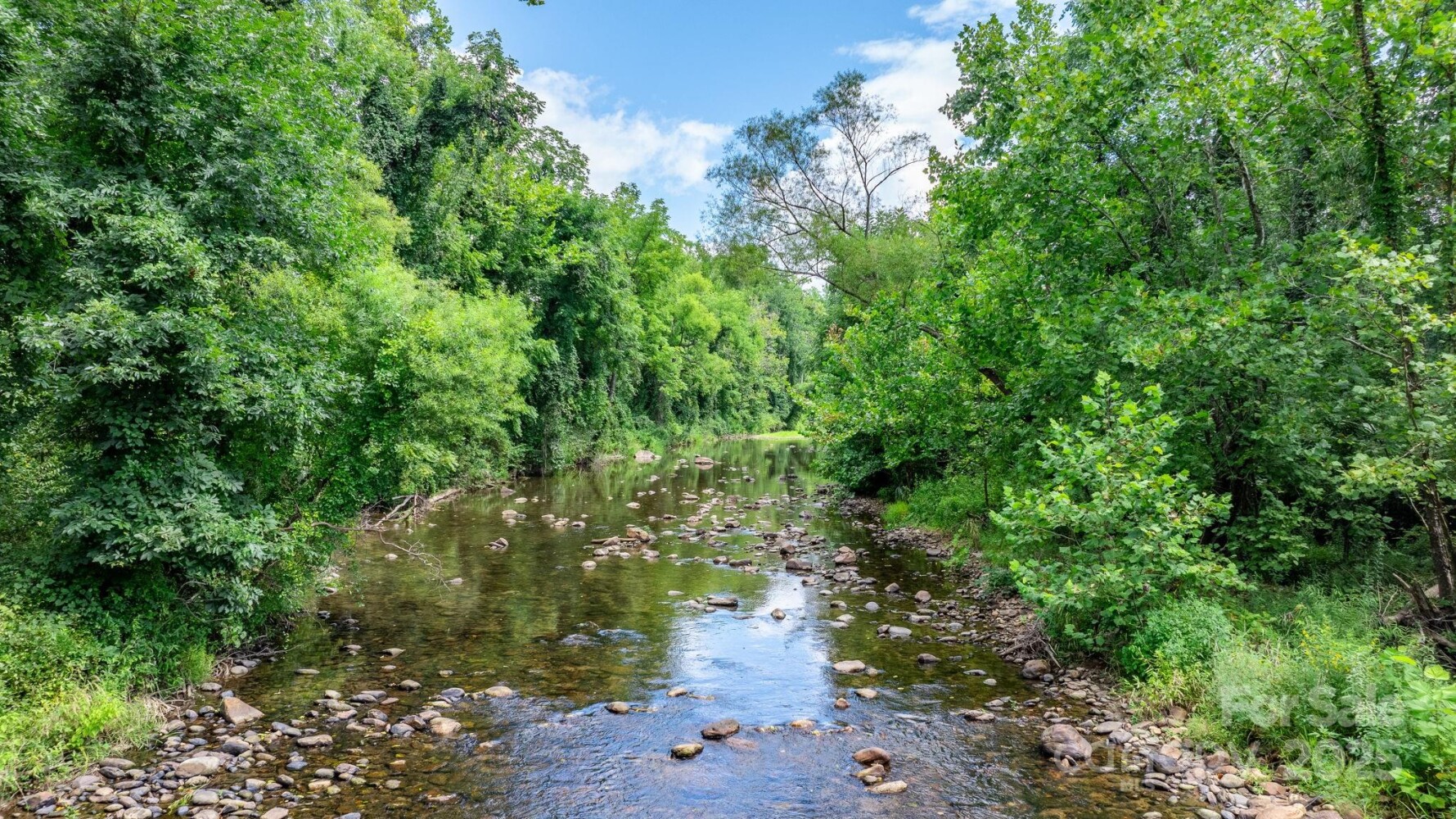 Land for Sale in McDowell County, NC (39 of 44)