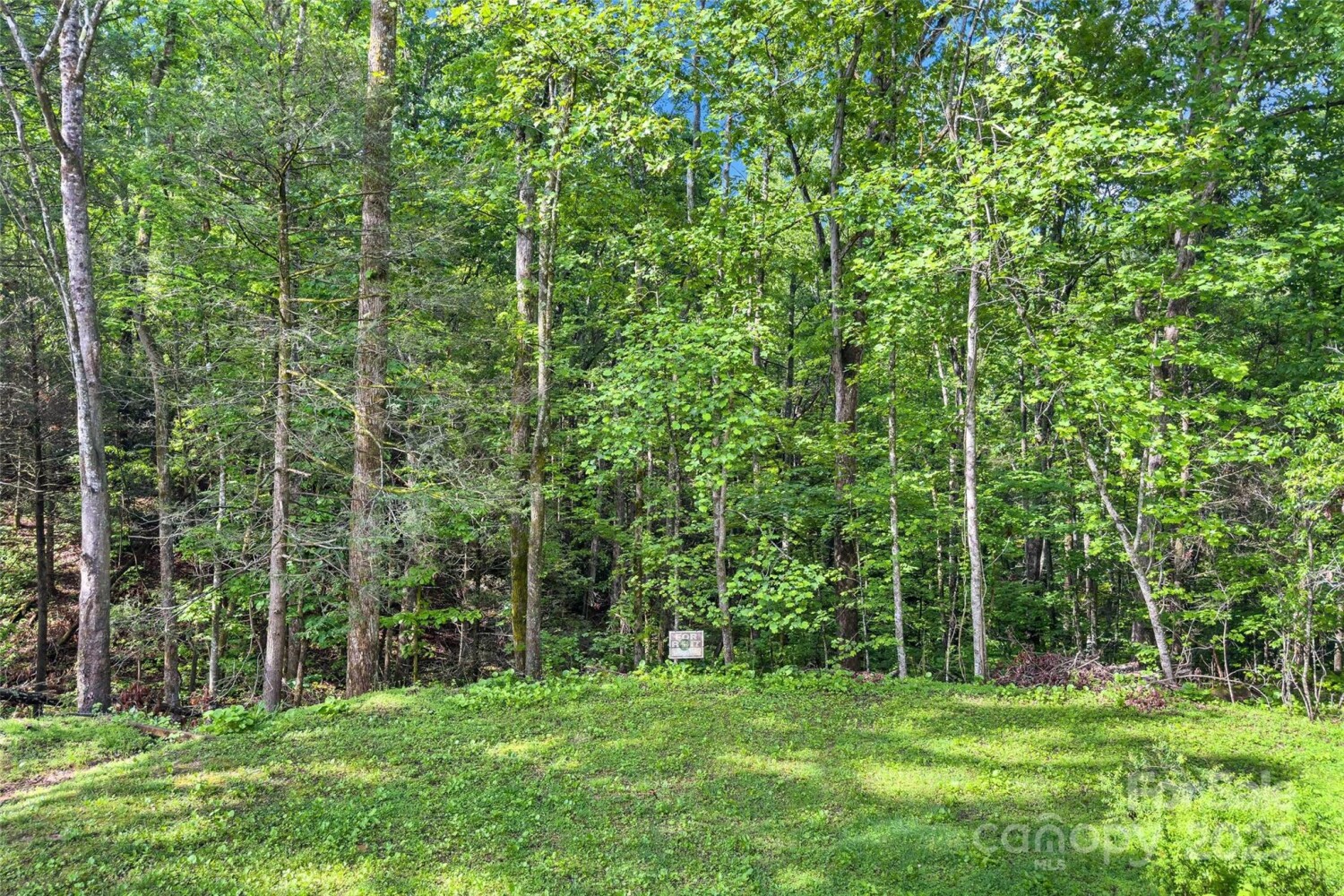 Land for Sale in McDowell County, NC (22 of 26)