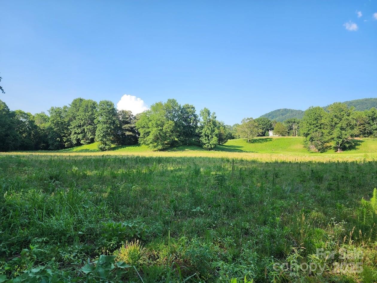 Land for Sale in Rutherford County, NC (46 of 48)