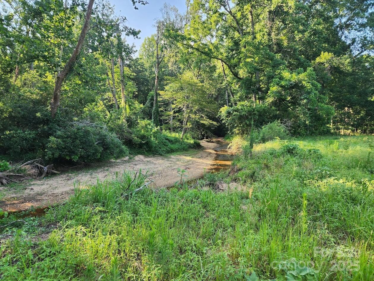 Land for Sale in Rutherford County, NC (48 of 48)