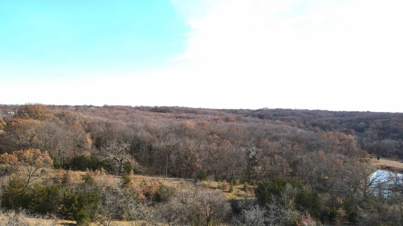 Land for Sale in Schuyler County, MO (4 of 38)