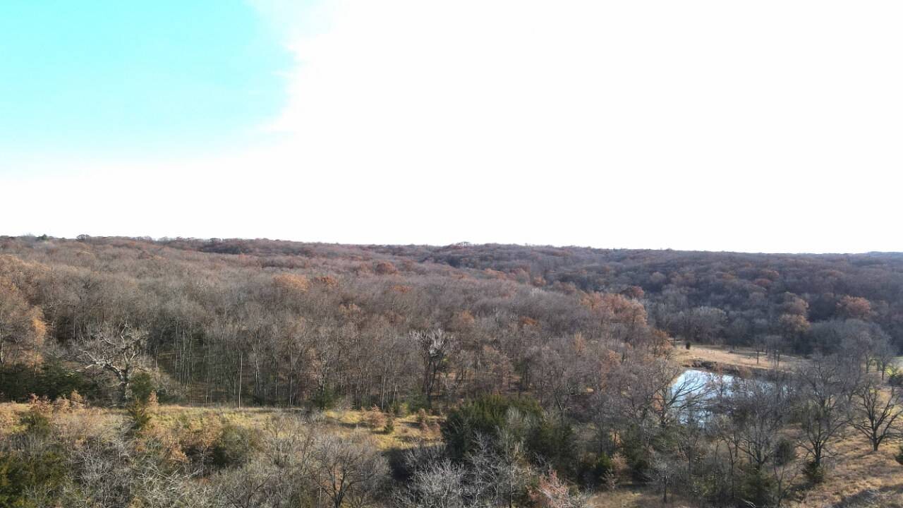 Land for Sale in Schuyler County, MO (5 of 38)
