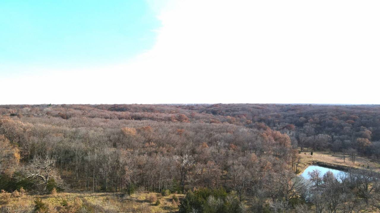 Land for Sale in Schuyler County, MO (6 of 38)