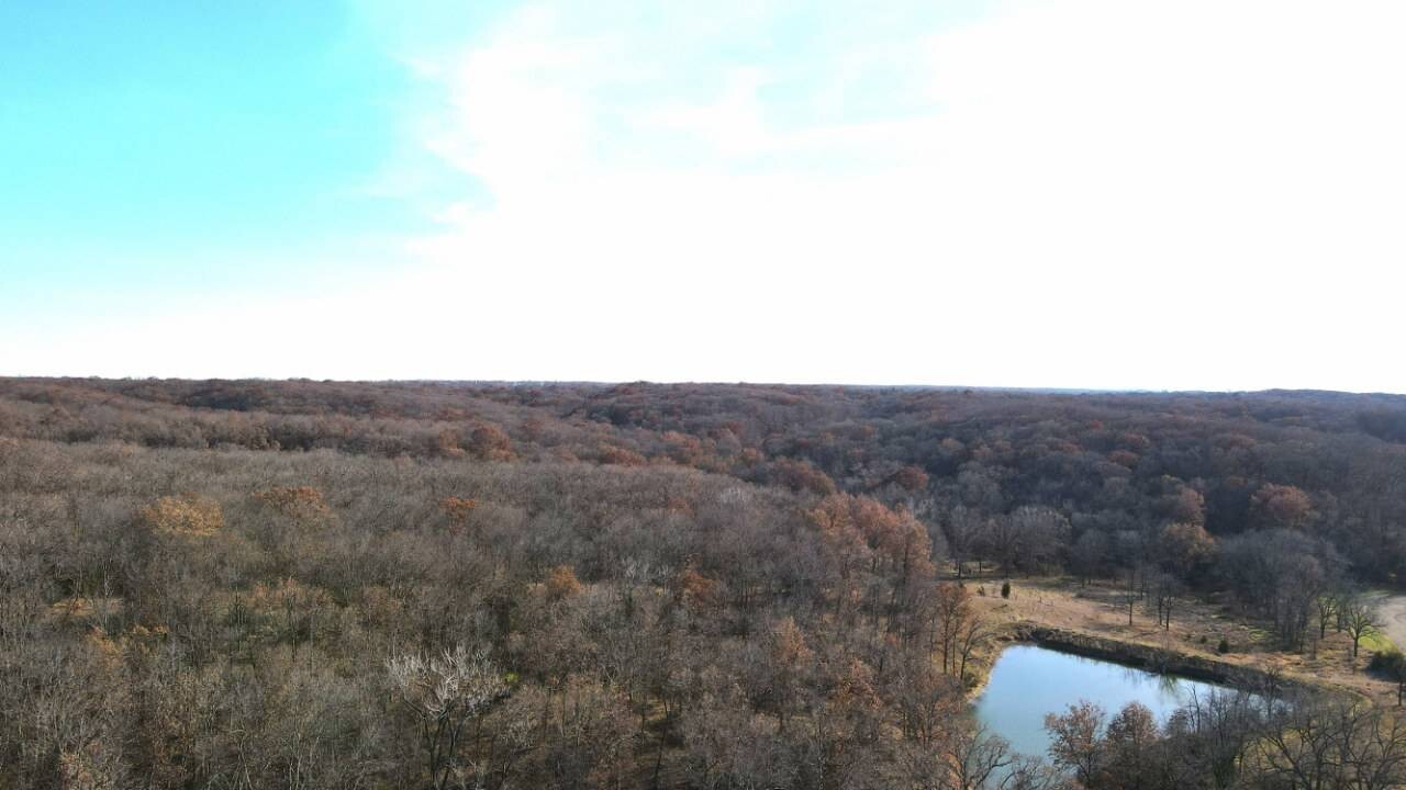 Land for Sale in Schuyler County, MO (7 of 38)