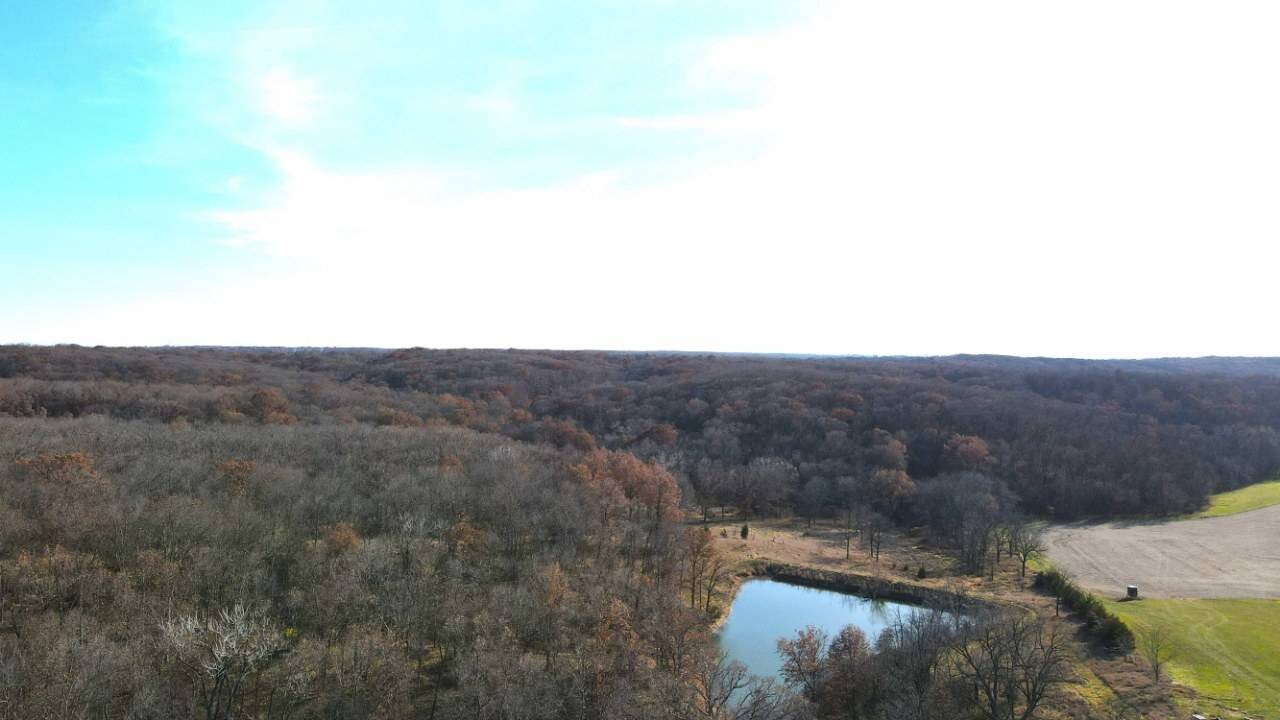 Land for Sale in Schuyler County, MO (8 of 38)