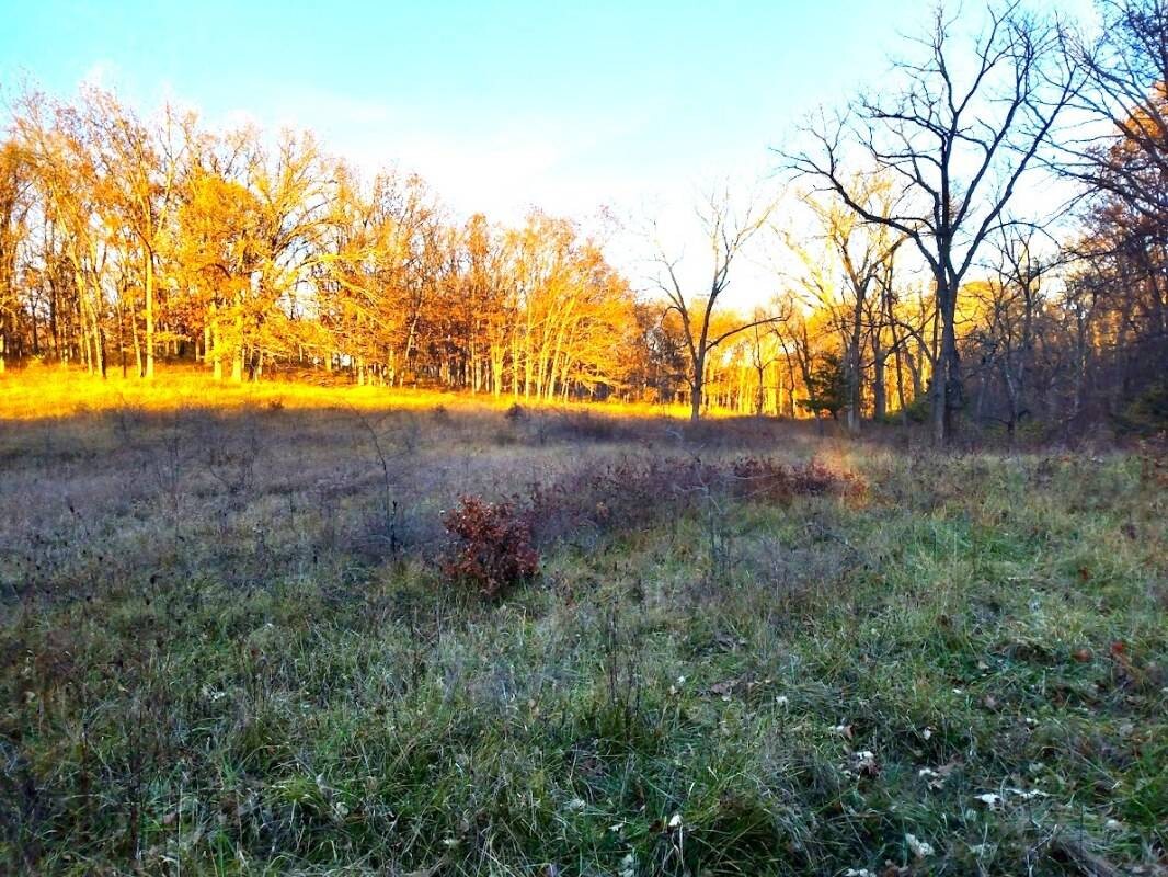 Land for Sale in Schuyler County, MO (9 of 38)