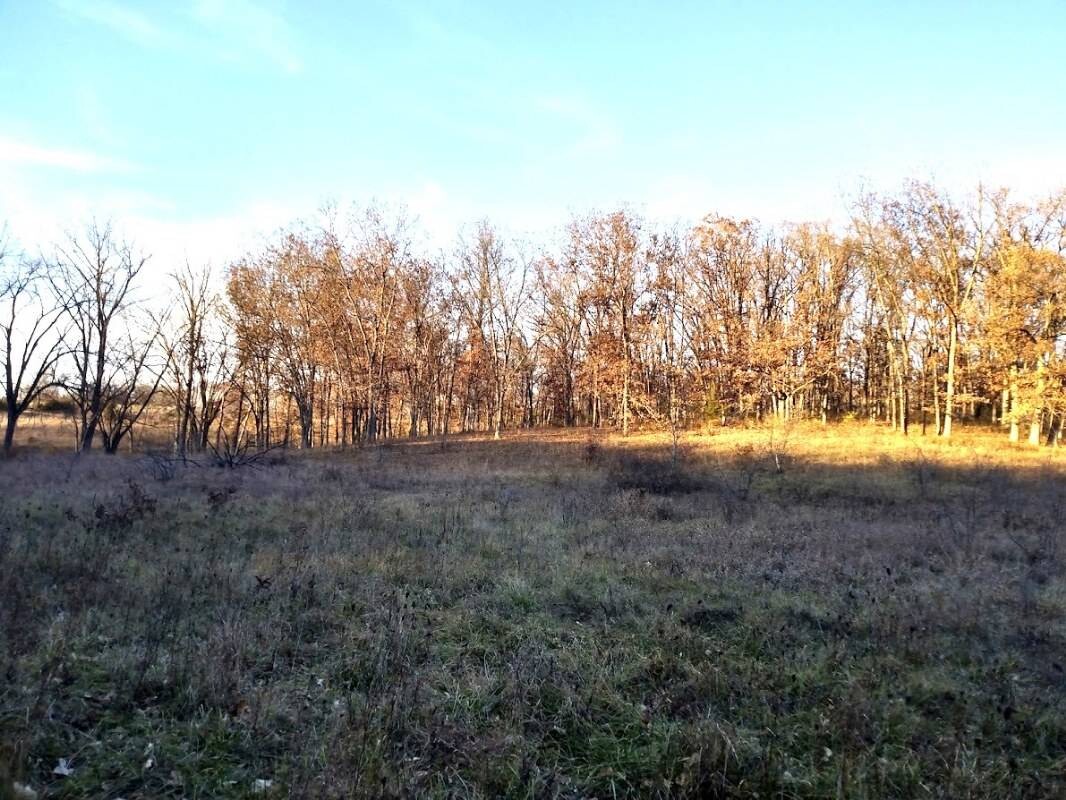 Land for Sale in Schuyler County, MO (10 of 38)