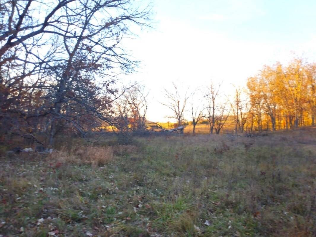 Land for Sale in Schuyler County, MO (11 of 38)