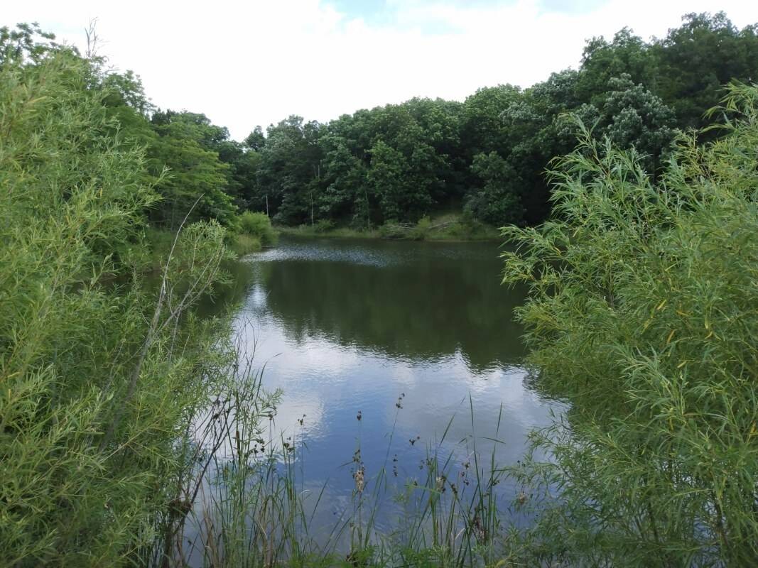 Land for Sale in Schuyler County, MO (12 of 38)