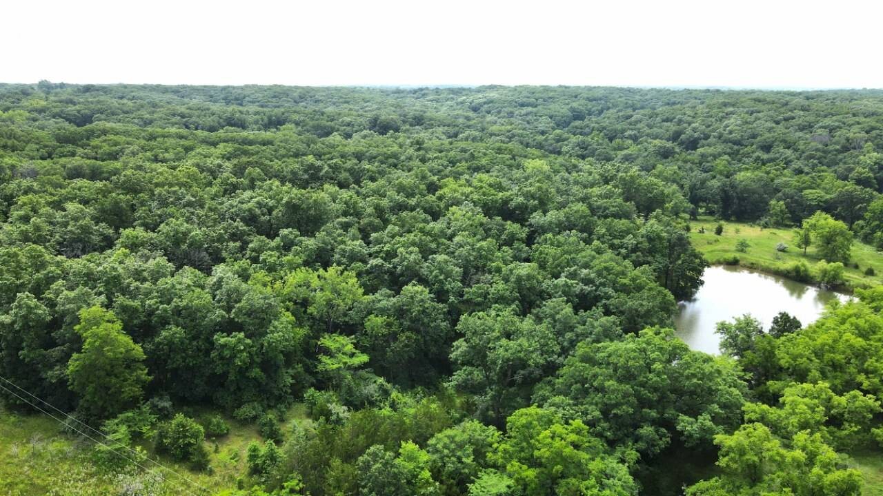 Land for Sale in Schuyler County, MO (15 of 38)