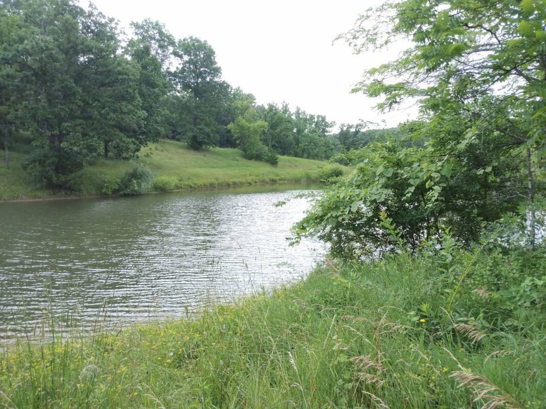 Land for Sale in Schuyler County, MO (16 of 38)