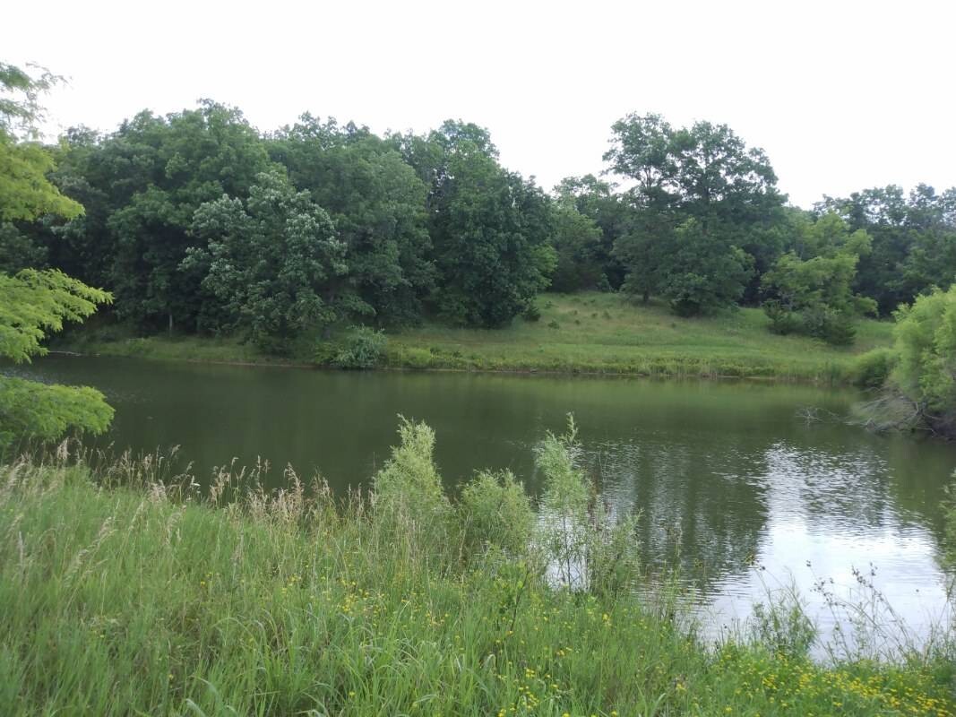 Land for Sale in Schuyler County, MO (17 of 38)