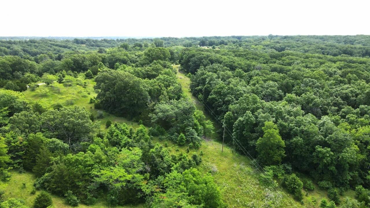 Land for Sale in Schuyler County, MO (18 of 38)