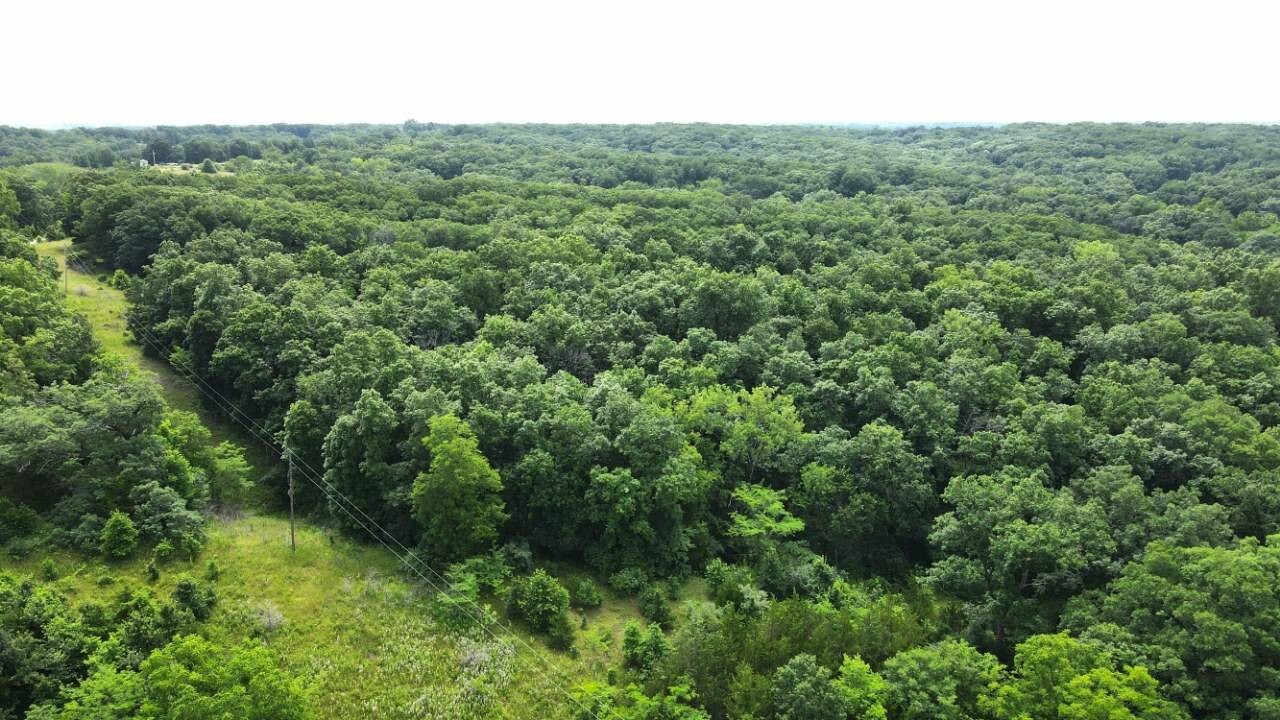 Land for Sale in Schuyler County, MO (20 of 38)
