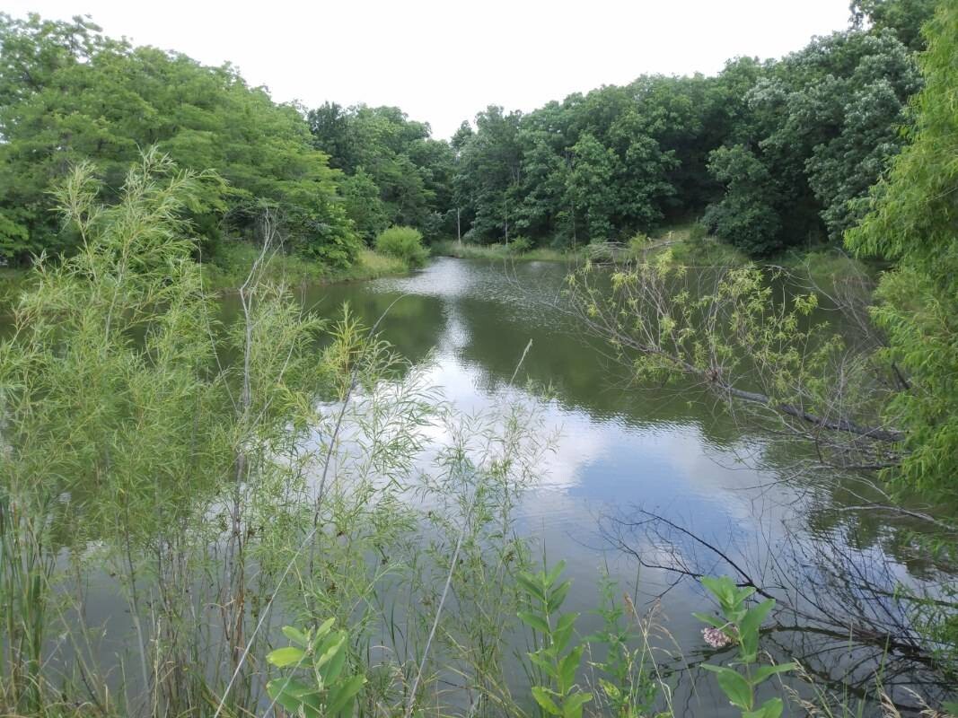 Land for Sale in Schuyler County, MO (21 of 38)