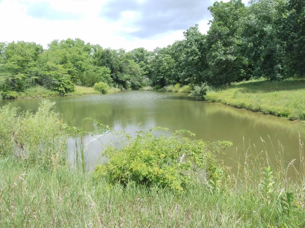 Land for Sale in Schuyler County, MO (22 of 38)