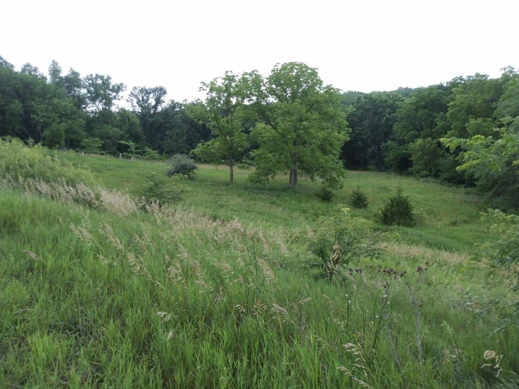 Land for Sale in Schuyler County, MO (24 of 38)