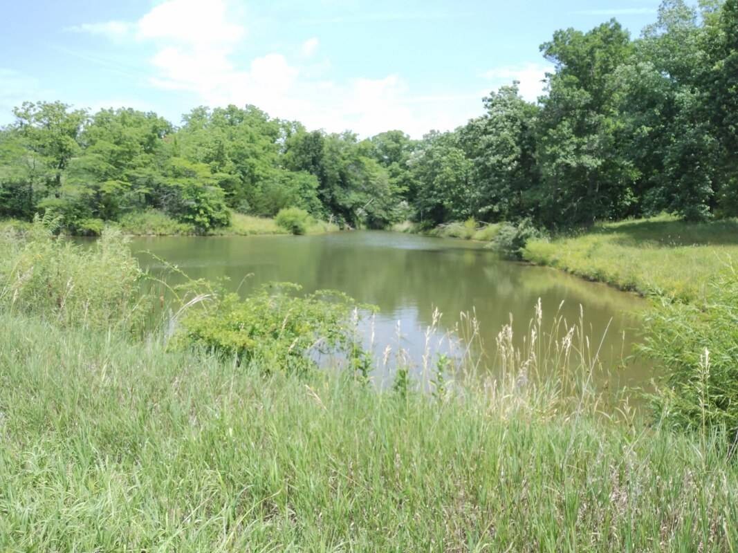 Land for Sale in Schuyler County, MO (25 of 38)