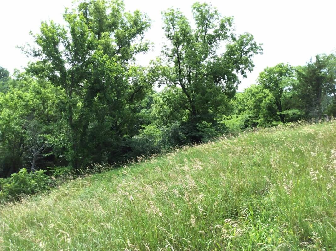 Land for Sale in Schuyler County, MO (26 of 38)