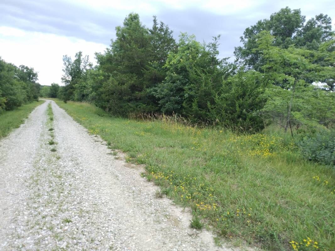 Land for Sale in Schuyler County, MO (27 of 38)
